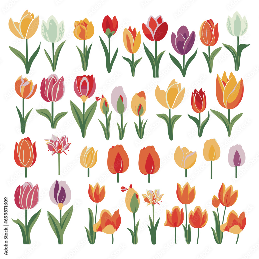 vector collection of tulip flowers vector collection of tulip flowers