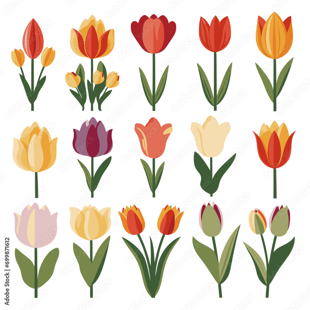 vector collection of tulip flowers vector collection of tulip flowers