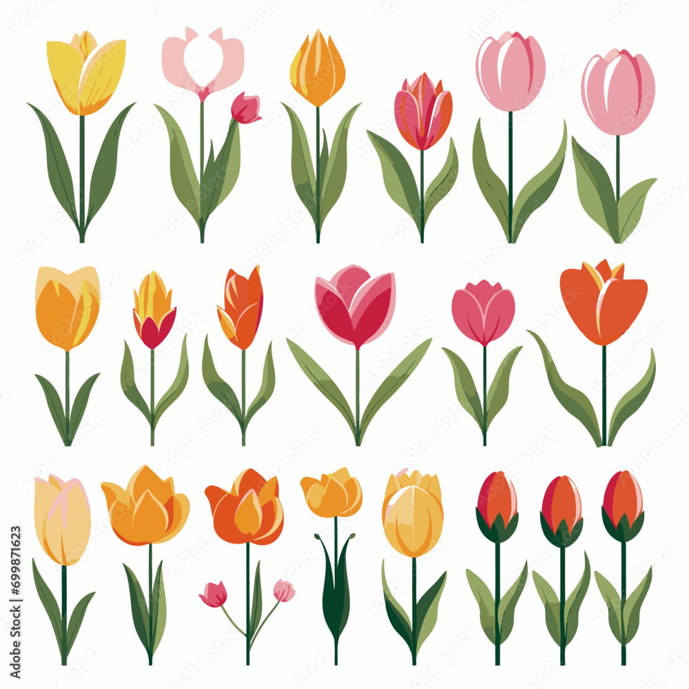 Obraz premium vector collection of tulip flowers