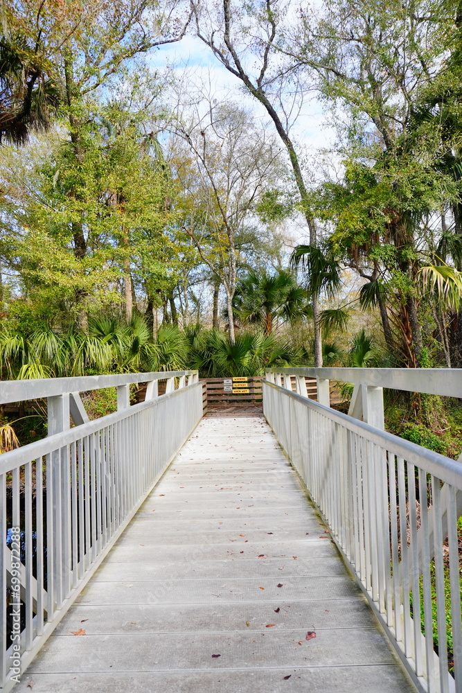 The winter landscape of Florida Trail	