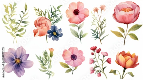 Watercolor set of flowers on white background