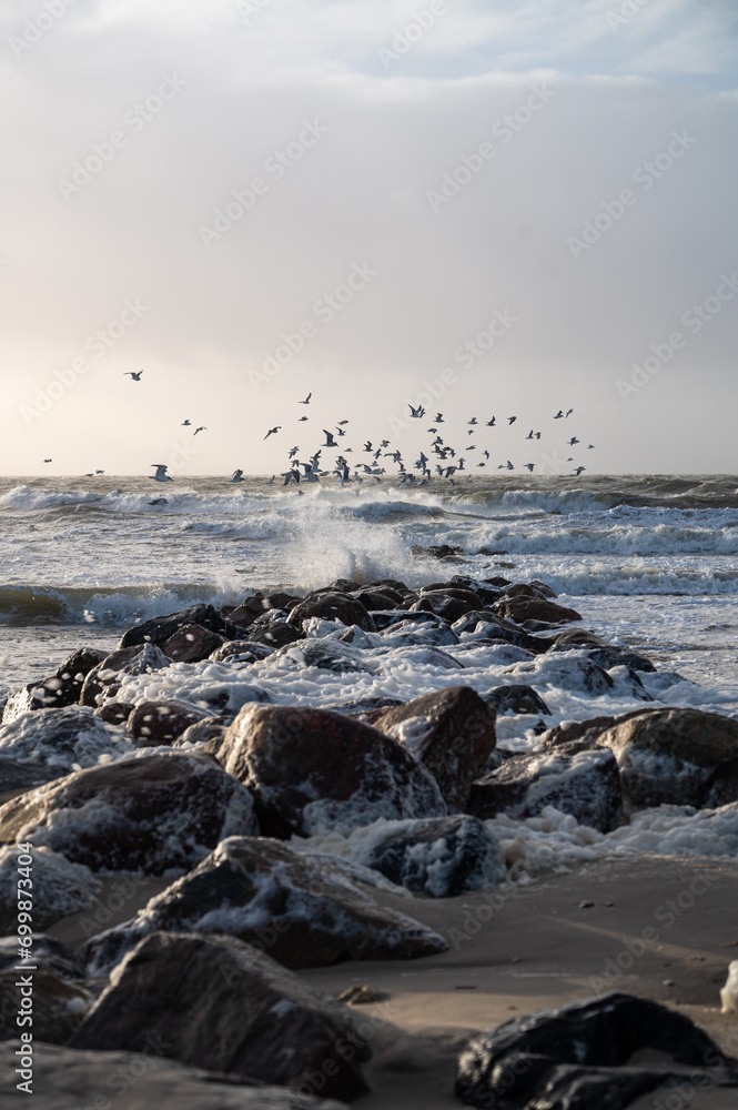 authentic scene from a furious  western coast of denmark during a western gale coming from the north sea