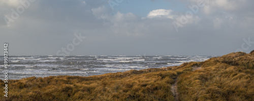 authentic scene from a furious western coast of denmark during a western gale coming from the north sea