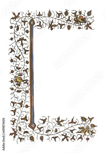 Medieval illuminated manuscript style border with intertwined branches and birds
