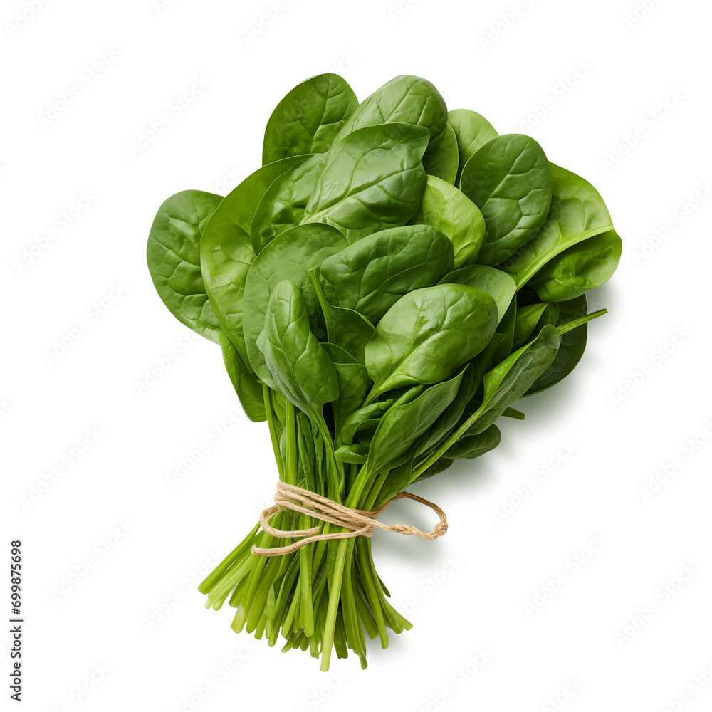 Fresh spinach bundle isolated on transparent and white background, png Fresh spinach bundle isolated on transparent and white background, png