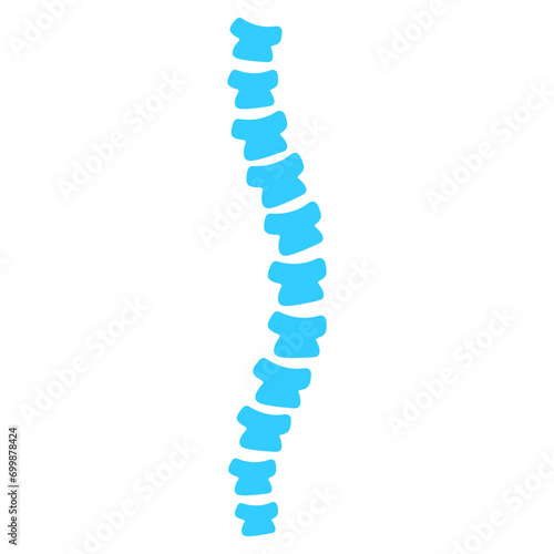 blue human spine