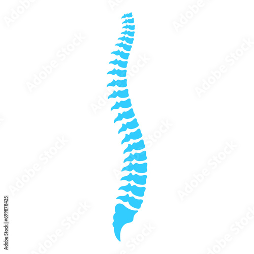 blue human spine