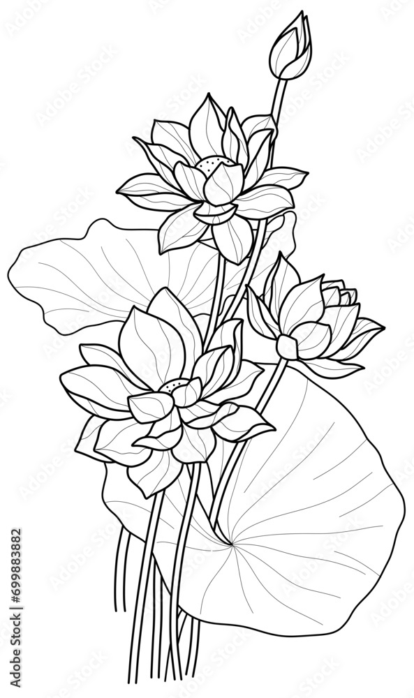 Black and White Aquatic Plant: Lotus Vector in Hand-Drawn Style