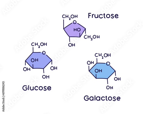 Vector Illustration of monosaccharides. Glucose, fructose, galactose