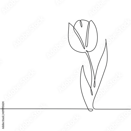 Tulip flower in continuous one line drawing. Plant outline art
