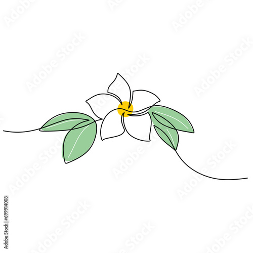Plumeria flowers vector. One continuous line art drawing. Exotic tropical plant