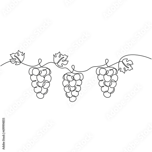 One line drawing grape fruits. Single outline organic nature food
