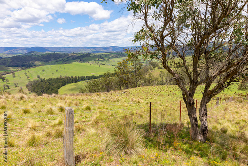 Australian bush landscape in New South Wales © Martin Berry
