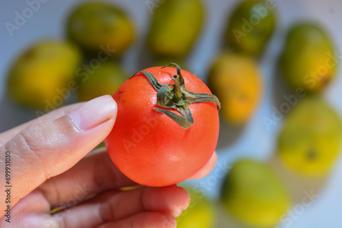 Isolated photo of tomato fruit with blur background photo