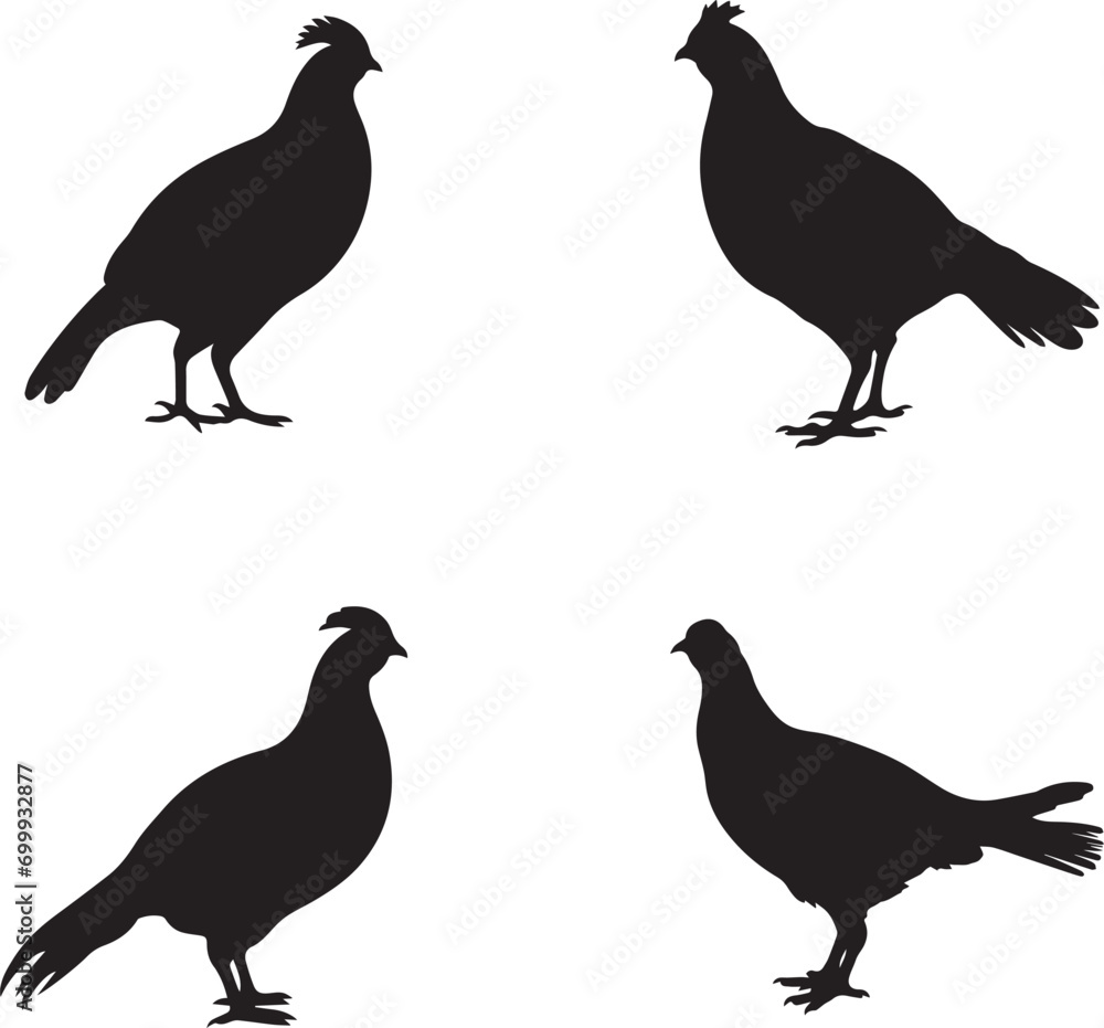 silhouette of grouse silhouette of grouse