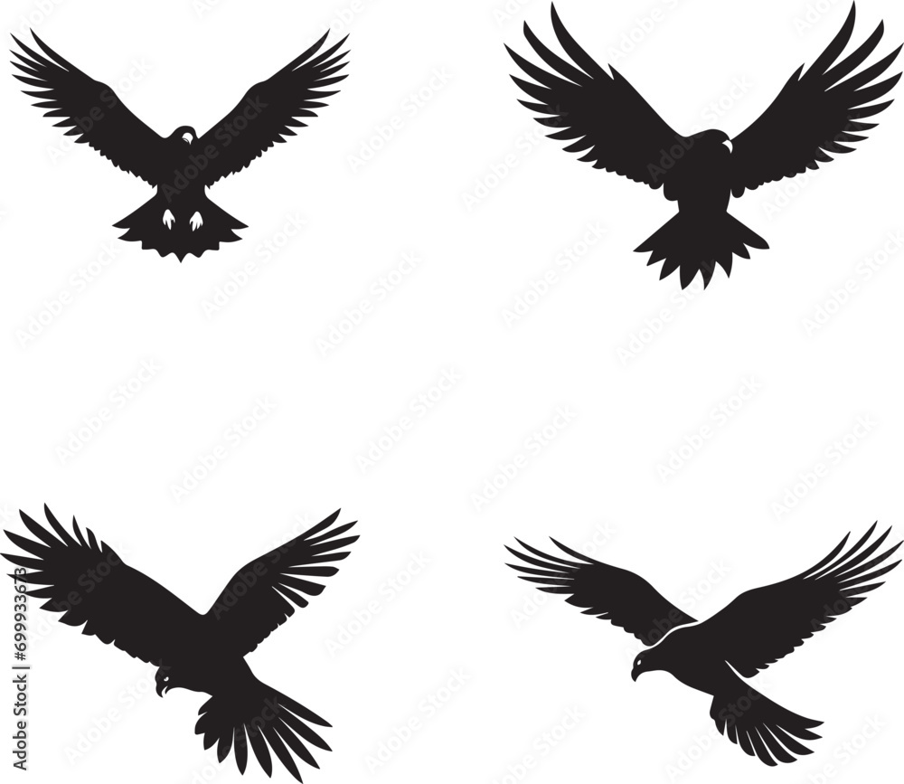 Fototapeta premium Hawk Bird Silhouette on white background