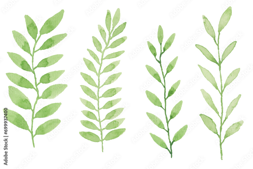 Naklejka premium Assortment of watercolor leaves illustration set - green leaf branches collection for wedding, greetings, stationary, wallpapers, fashion, background. olive, green leaves, Eucalyptus etc