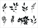 Set of silhouettes of branches and leaves. Hand drawn vector botanical elements