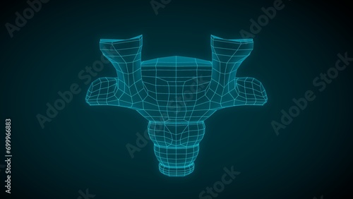 Human Skeleton Coccyx or tail bones wireframe 3D illustration photo