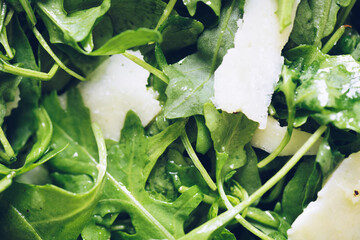Papier peint photo Restaurant Salade verte roquette parmesan huile olive  © Nelli Kovalchuk