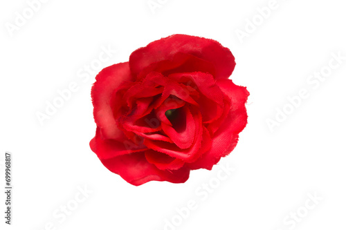Single Red Rose on the isolated on a white background.png