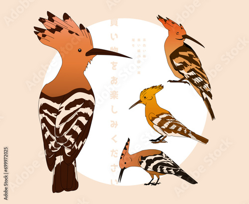 Simple Illustrations of Hoopoe Birds Perfect for Bird-themed logos and branding, educational materials about ornithology and wildlife, posters, infographics, and decorative prints, etc