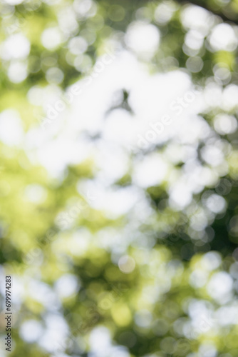 green bokeh background from nature under tree shade,abstract blur background