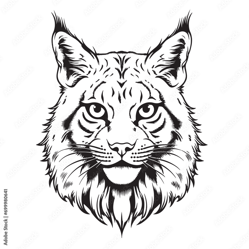 Lynx head hand drawn sketch Vector illustration