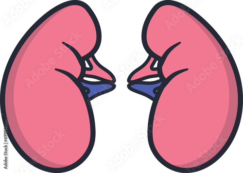Human Kidney Pairs