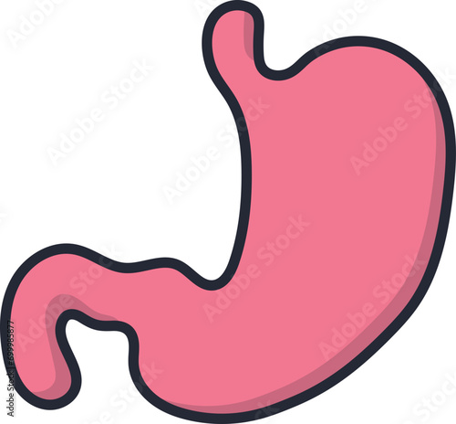 Clip Art Human Stomach