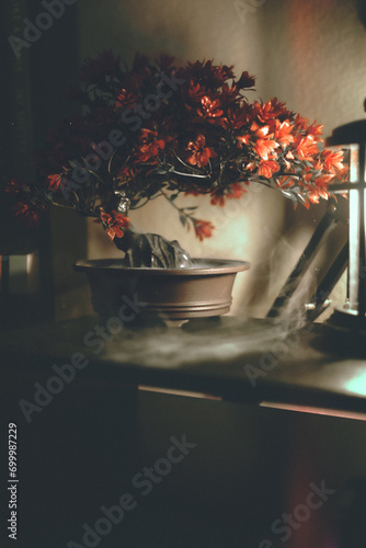 Fotografía Bonsai Tree