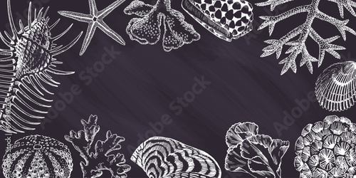 Black chalkboard with seashells and corals drawings. Border design, summertime illustration banner