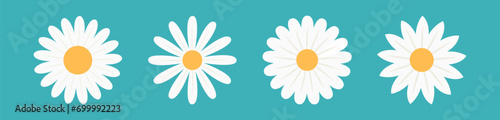 White daisy camomile set line. Four chamomile icon. Cute round flower head plant collection. Love card symbol. Growing concept. Nature style. Flat design. Isolated. Blue background. photo