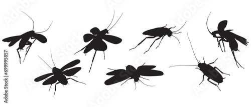 Cockroach vector silhouette with transparent background © Kensusei