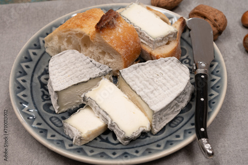 Cheese collection, French fresh soft goat cheese with black mold from Perigord photo