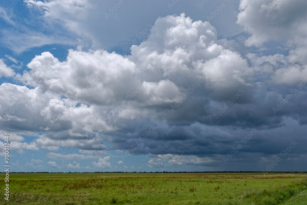 A weather Front of Dark storm Clouds passing over the Coastal San Bernard National Wildlife refuge on theGulf Coast of Texas. A weather Front of Dark storm Clouds passing over the Coastal San Bernard National Wildlife refuge on theGulf Coast of Texas.