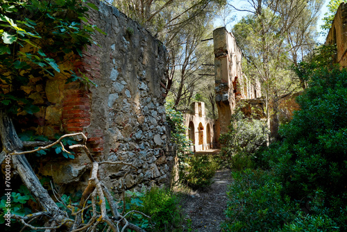 Ex miniera di Monte Onixeddu, Gonnusa. Sulcis Iglesiense Sardegna Italy photo