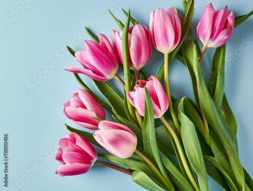 Bouquet of pink tulips on blue background. Top view. Generative AI