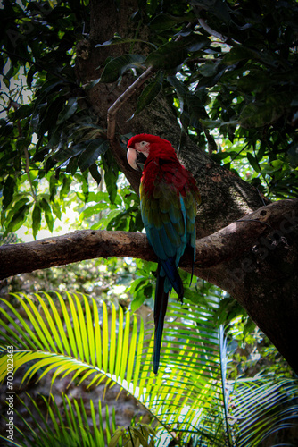 Fauna Cali