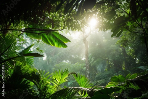 Sunlight filtering through layers of tropical leaves in a serene forest, Generative AI © ManusiaIkan