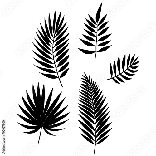 minimal tropical leave vector silhouette, black color silhouette, white background