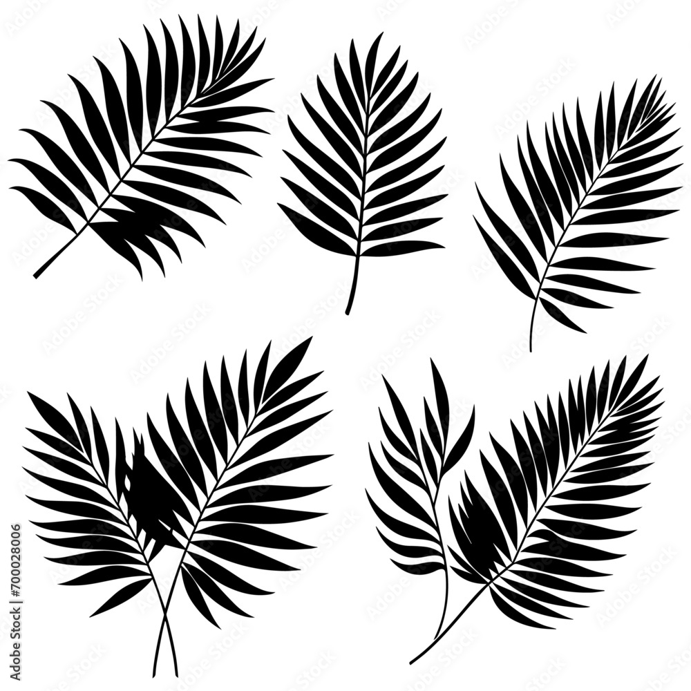 Obraz premium minimal tropical leave vector silhouette, black color silhouette, white background