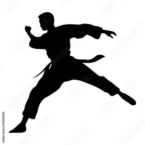 Kung fu vector silhouette on white background