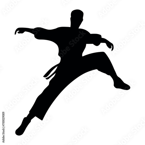 Kung fu vector silhouette on white background