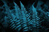up close plants exotic header website banner web design background frond blue toned leaves fern background nature turquoise dark beautiful