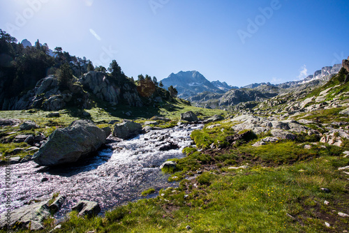 Fototapeta Naklejka Na Ścianę i Meble -  Summer landscape in Aiguestortes and Sant Maurici National Park, Spain
