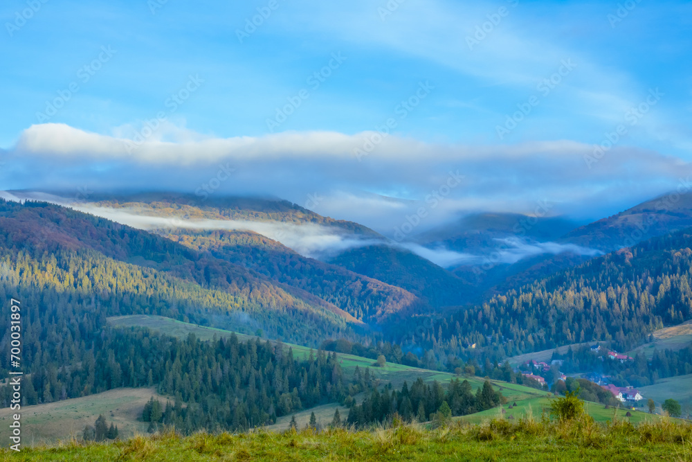 Wooded Ukrainian Carpathians and Day Fog
