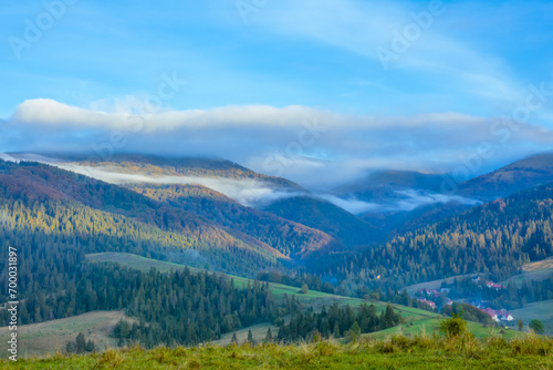 Wooded Ukrainian Carpathians and Day Fog