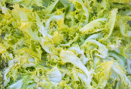 Close up of fresh green leaves of endive frisee chicory salad isolated on white background with clipping path and full depth of field. Top view. Flat lay photo