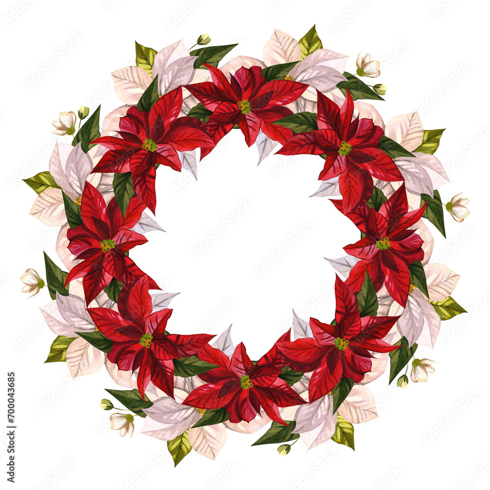 Obraz premium Wreath of Christmas flowers. White and red poinsettia. Botanical watercolor illustration for New Year background design, textile, card, sticker, poster